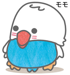 におインコ モモ